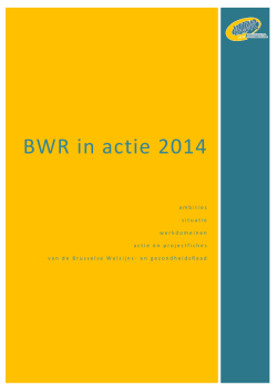 BWR Actieplan 2014 - BWR Brusselse Welzijns