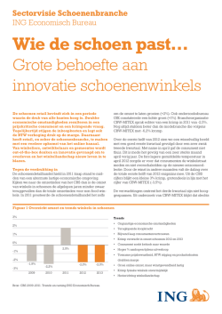 ING sectorvisie schoenendetailhandel