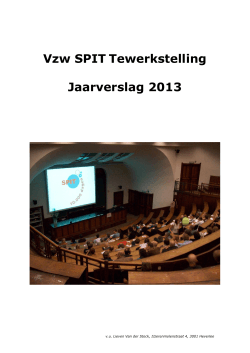 Vzw SPIT Tewerkstelling Jaarverslag 2013