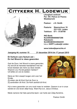 Citykerk H. Lodewijk - Steenschuur 19, Leiden