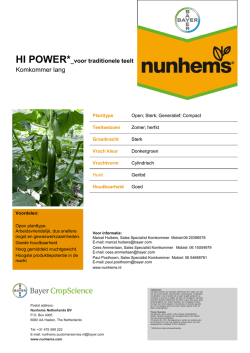 Hi Power - Nunhems