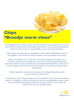 Chips “Broodje warm vlees”