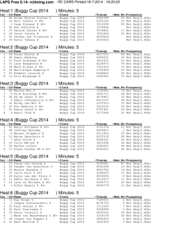 Buggy Cup 2014