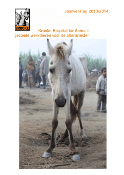 Jaarverslag 2013/2014 - Brooke Hospital for Animals Nederland