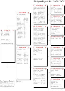 Imprimer ce document