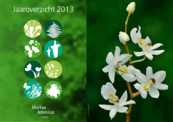 Jaaroverzicht 2013