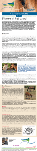 Diarree bij het paard - Dierenartsenpraktijk Krommerijnstreek