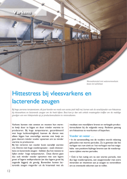 Hittestress bij vleesvarkens en lacterende zeugen