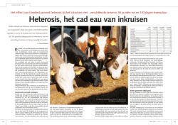 Heterosis, het cad eau van inkruisen
