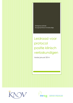 Leidraad voor protocol positie klinisch verloskundigen