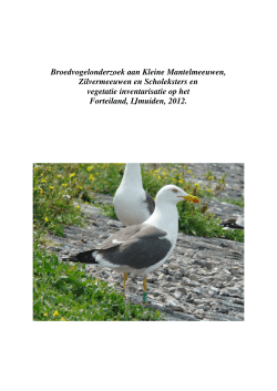 broedvogelonderzoek 2012