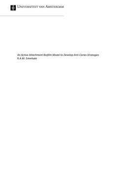 Download de samenvatting (PDF)
