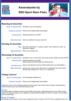 BSO Fluks, kerstvakantie 2014