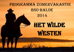 Programma zomervakantie BSO Baloe 2014