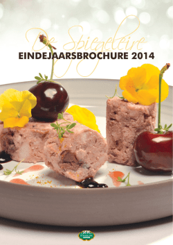 Eindejaarsbrochure De Spiegeleire 2014