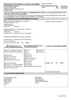 INDIVIDUELE FICHE WERK en SOCIALE ECONOMIE 00