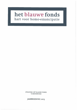 Jaarrekening 2013 PDF