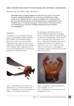 drie steltmuggen nieuw voor nederland (diptera: limoniidae)