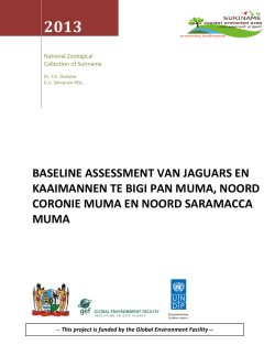 In het rapport Baseline Assessement van jaguars en kaaimannen te