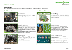 In dit thema... Les 1: Levende doden Les 2: Plantachtige dieren