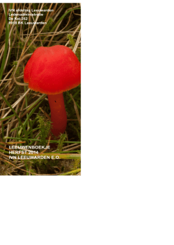 herfst Leeuwenboekje