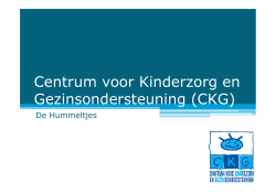 Centrum voor Kinderzorg en Gezinsondersteuning (CKG)