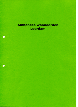 64 Ambonese woonoorden Leerdam, 1976-1982, 7
