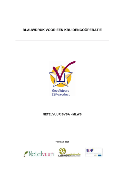 Netelvuur - Bouwstenen voor coöperatief ondernemen in Vlaanderen