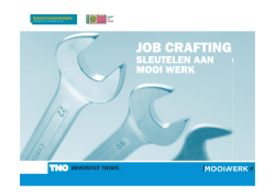 JOB CRAFTING - Inzet op maat