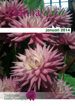 januari 2014 - Nederlandse Dahlia Vereniging