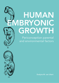 human embryonic growth - RePub - Erasmus Universiteit Rotterdam