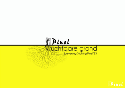 Jaarverslag 13. - Stichting Pinel