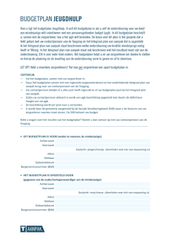 Download het formulier Bugdetplan Jeugd (pdf)