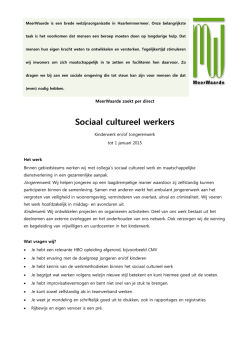 Sociaal cultureel werkers