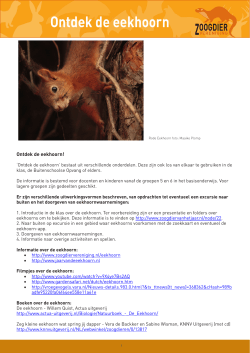 Ontdek de eekhoorn - 2014 is het Jaar van de Eekhoorn