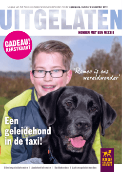 Een geleidehond in de taxi!