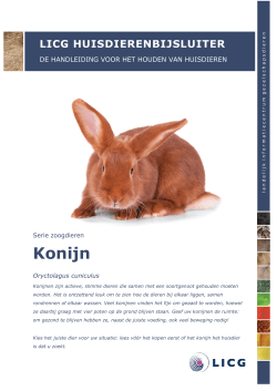 Huisdierenbijsluiter Konijn (PDF)