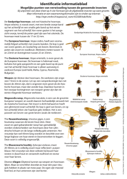 Download het informatieblad
