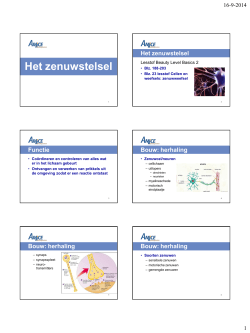 Het zenuwstelsel