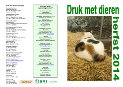 Druk met dieren zijn ze bij Wanneer is het ergens nog