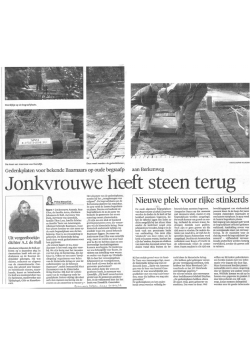 een artikel dat de Gooi- en Eemlander