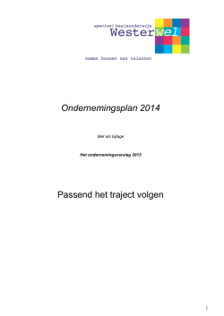 Ondernemingsplan 2013