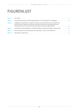 Figurenlijst (74 kB, 10 januari 2013)