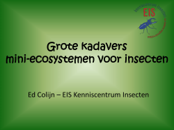 Grote kadavers mini ecosystemen voor