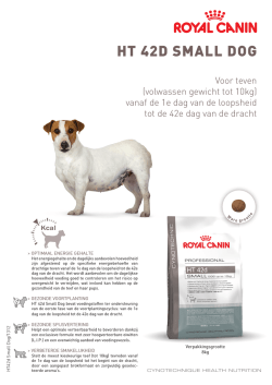 HT 42D SMALL DOG