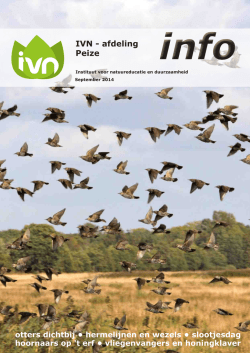 Info_IVN_Peize_2014 sept