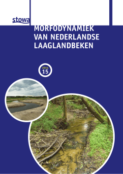 Morfodynamiek van Nederlandse laaglandbeken - Beek