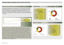 HORIZON PRIVATE BANKING ACTIVE STOCK SELECTION