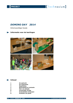 Projectopdracht Domino Day