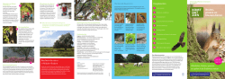 Download de recreatiefolder